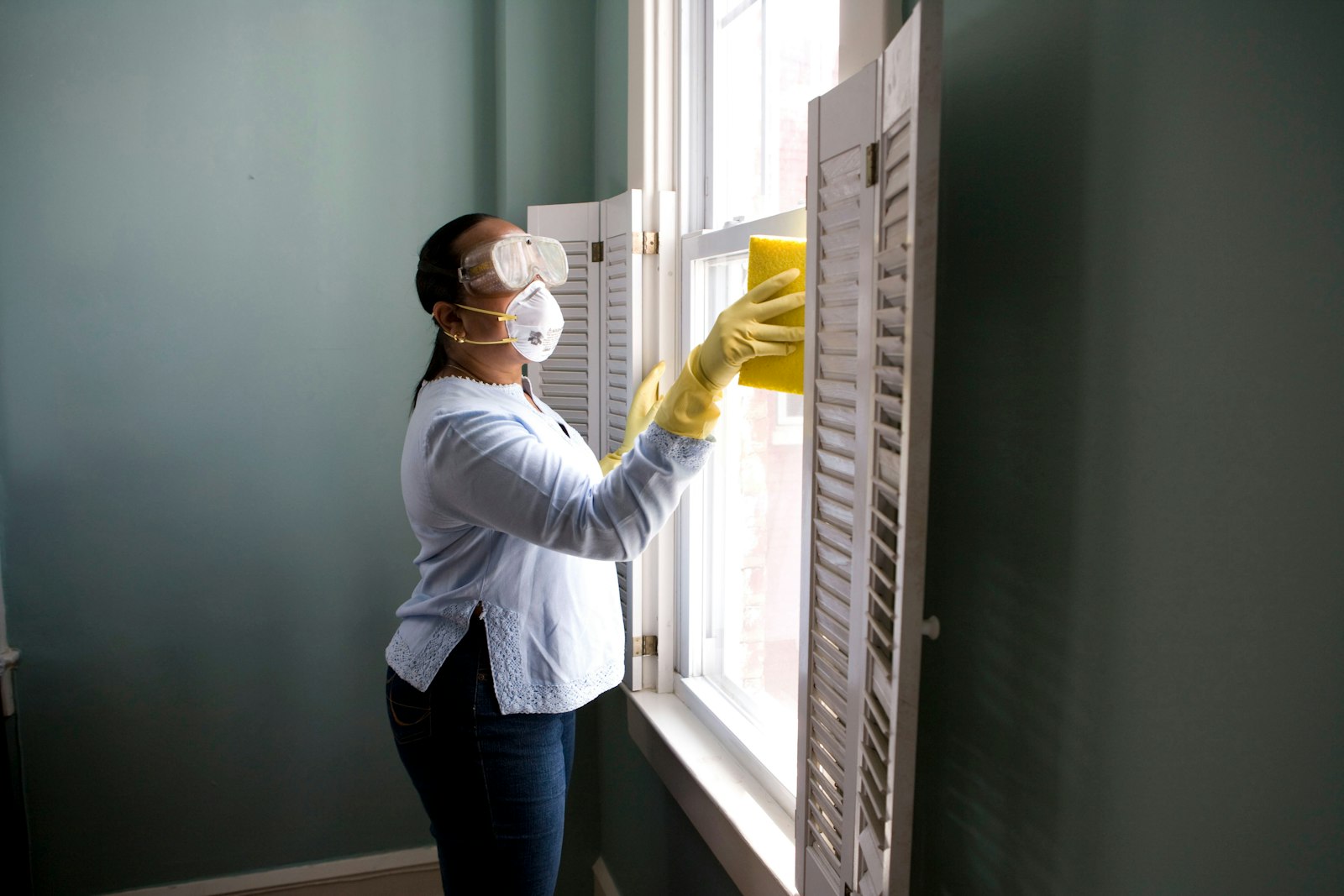 Mold Remediation service in Lakewood, CO
