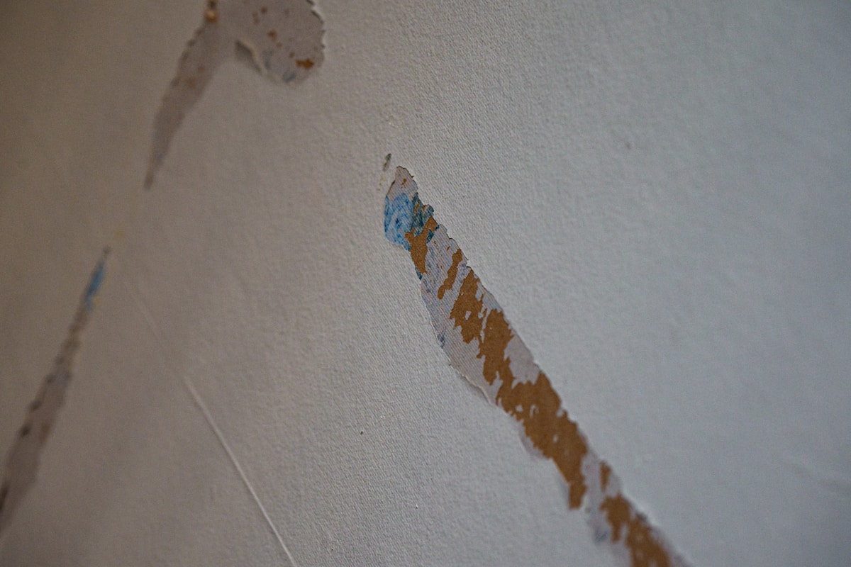Commercial Water Damage service in Lakewood, CO